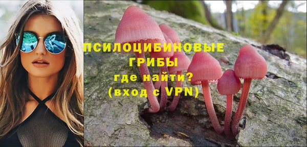 прущая мука Медвежьегорск