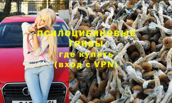 прущая мука Медвежьегорск