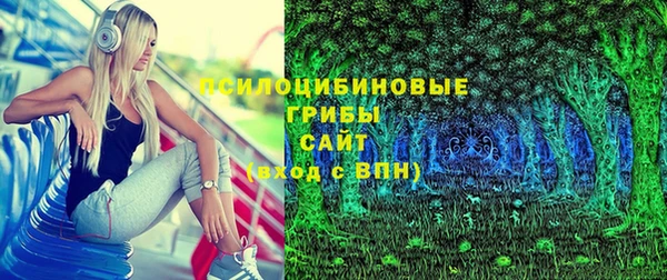 дурь Мегион