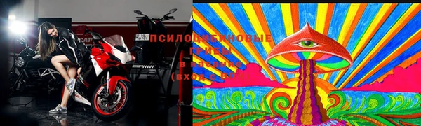 дурь Мегион