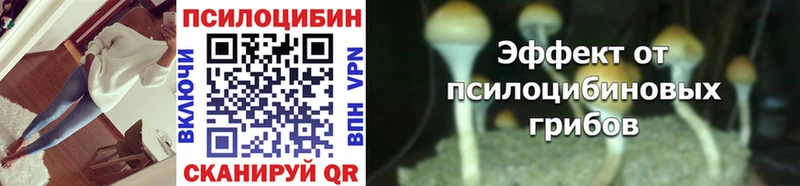 Галлюциногенные грибы мицелий Владимир